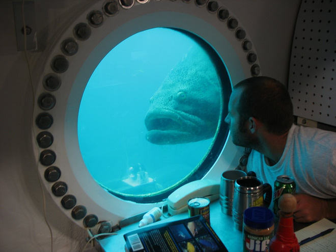 Tham quan phòng nghiên cứu dưới đáy biển như trong phim khoa học viễn tưởng - Ảnh 22.