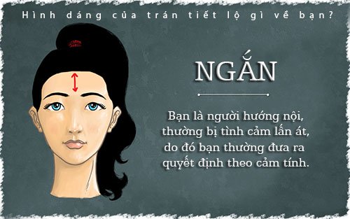 Hình dáng của trán tiết lộ gì về bạn? - Ảnh 3.