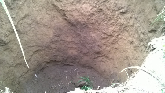 “Hố tử thần” sâu 10 m bất ngờ xuất hiện giữa ruộng mía - Ảnh 2.