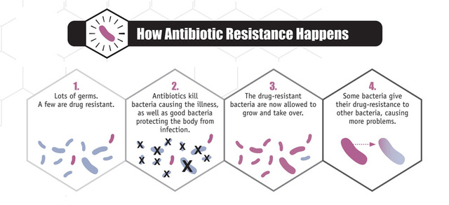 Giải ngố: Vi khuẩn đã học được cách chống lại kháng sinh như thế nào? - Ảnh 3.