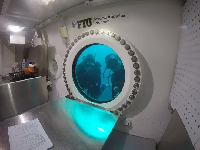 Tham quan phòng nghiên cứu dưới đáy biển như trong phim khoa học viễn tưởng - Ảnh 3.