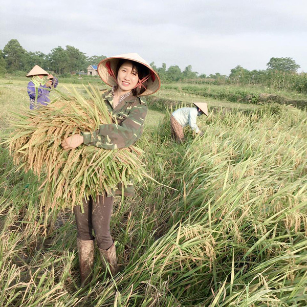 Truy tìm cô gái đang gây bão: Ngày làm ngân hàng, cuối tuần về gặt lúa mà vẫn da trắng dáng xinh - Ảnh 3.