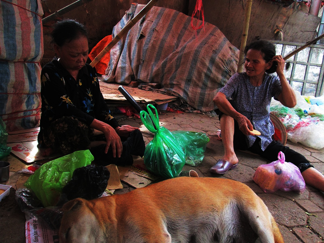 Những phận đàn bà thị thành (1): Một bà “dở hơi”, chỉ chơi với chó - Ảnh 3.