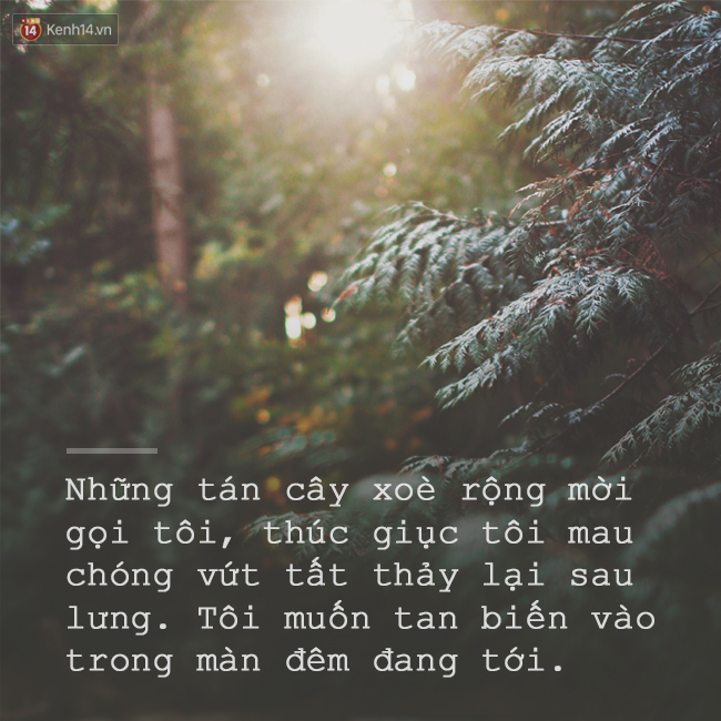 Còn trẻ, đừng ngần ngại nữa, hãy xách ba lô lên và đi ngay sau khi đọc 11 câu nói này - Ảnh 3.