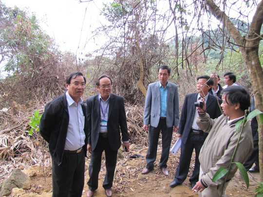 Chủ tịch Đà Nẵng yêu cầu khởi tố vụ phá rừng Sơn Trà - Ảnh 2.