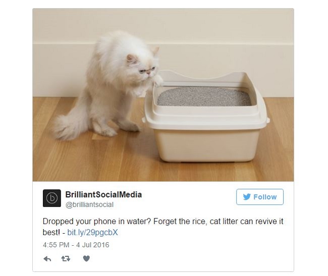 Gạo không hiệu quả, hãy dùng cát vệ sinh mèo để cứu điện thoại rơi nước - Ảnh 3.