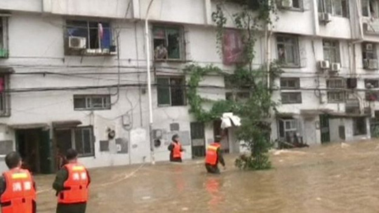 Trung Quốc: Lụt lớn đẩy cá sấu ra đồng - Ảnh 3.