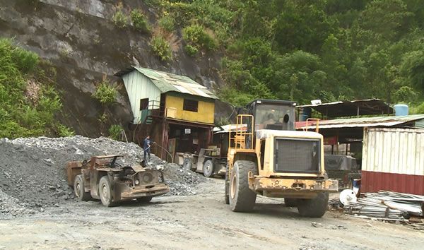 Phó Thủ tướng Trương Hòa Bình: Cty Vàng Bồng Miêu không chịu nộp thuế thì dứt khoát phải đóng cửa mỏ - Ảnh 2.