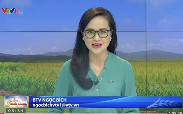 Vì sao MC Ngọc Bích ‘biến mất’ khỏi bản tin thời tiết VTV? - Ảnh 2.