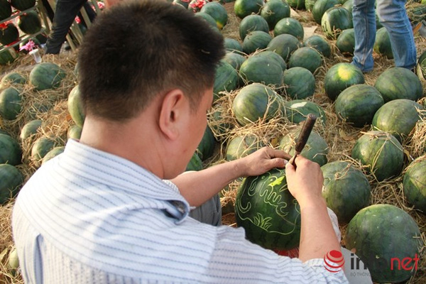 Những nghề kiếm tiền tỷ khó tin ở Hà Nội, Sài Gòn - Ảnh 3.