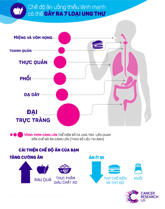 Đang ăn ít rau nhiều thịt, người Việt trẻ nên điều chỉnh thế nào để giảm nguy cơ ung thư tuổi trung niên? - Ảnh 3.