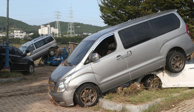 Hàng loạt xe ôtô leo cây và vượt rào trong cơn bão Chaba - Ảnh 3.