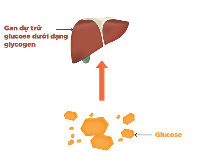 “Giải ngố” về carbohydrate, điều mà mọi người cần biết - Ảnh 3.