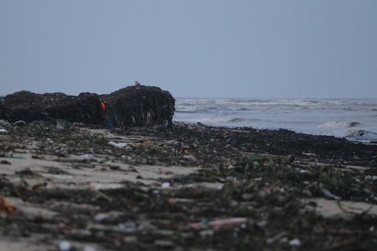 Sau lũ, rác thải ngập bờ biển Quảng Bình - Ảnh 4.