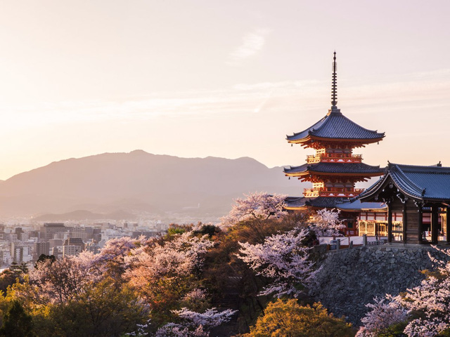 19 bức ảnh lý giải vì sao Nhật Bản có tới 2 thành phố đáng sống nhất thế giới - Ảnh 4.