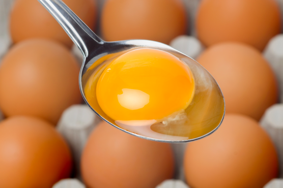 Nhìn lòng đỏ trứng, bạn có biết quả trứng nào được sinh bởi con gà khỏe mạnh? - Ảnh 4.