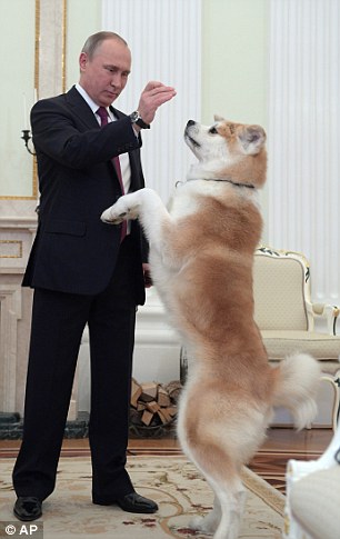 Ông Putin dắt chó cưng đi phỏng vấn làm phóng viên hết hồn - Ảnh 3.
