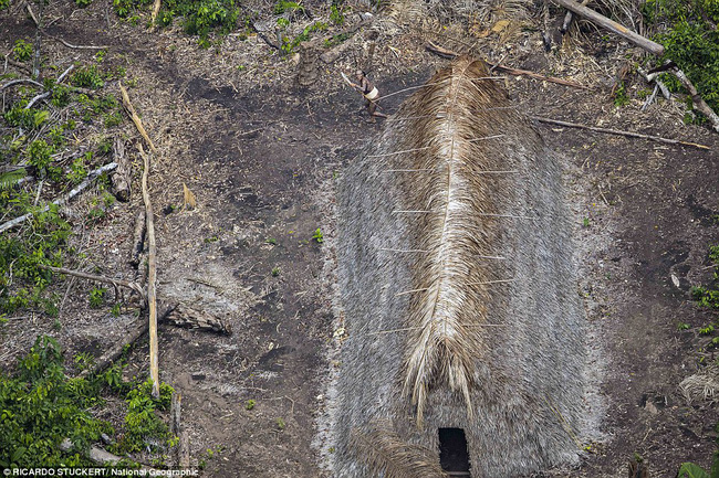 Những hình ảnh về bộ lạc sống trong rừng rậm Amazon như tổ tiên của mình cách đây 20.000 năm - Ảnh 4.