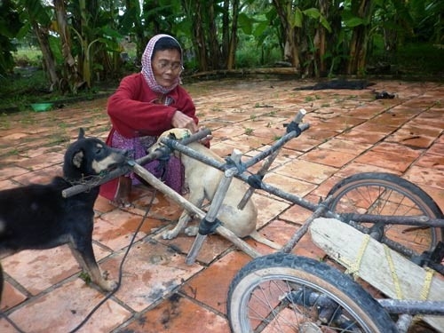 Cay mắt với câu chuyện của bà cụ Noel và cỗ xe tuần lộc ở Tây Ninh - Ảnh 2.