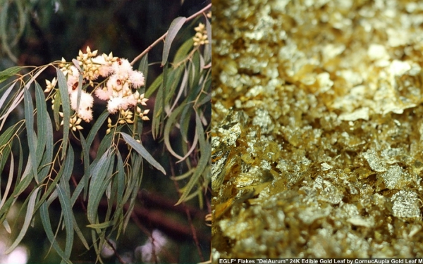 Sự thật: Có một loài cây mọc ra vàng và nó có ở Việt Nam - Ảnh 4.