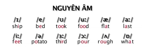 Bạn có biết thế nào là phát âm tiếng Anh chuẩn không? - Ảnh 4.