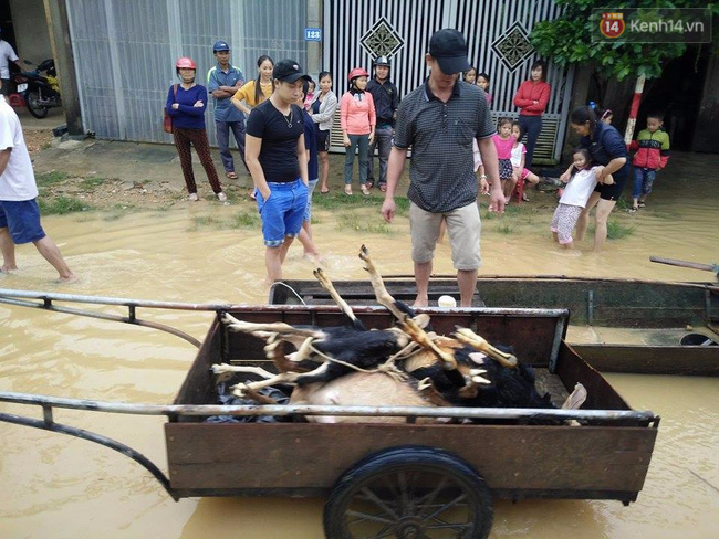 Nếu làm màu mà như cách của Phan Anh, Ngọc Trinh thì hãy làm đi, ngay và nhiều vào! - Ảnh 5.