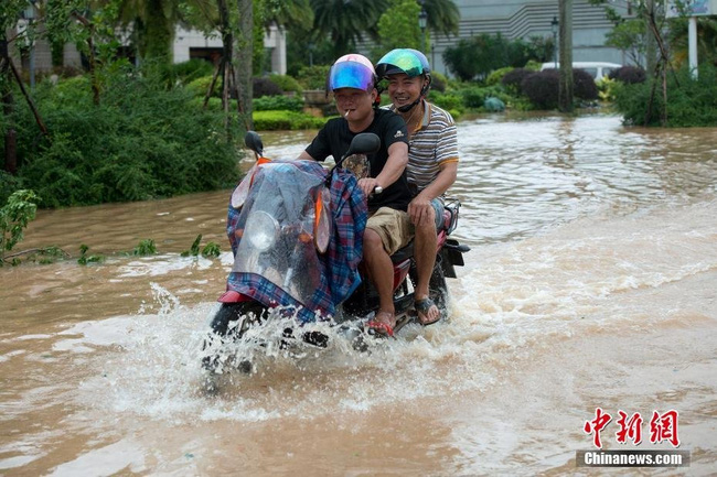 Bão Sarika đổ bộ Trung Quốc, đường ngập thành sông, cây cối đổ rạp - Ảnh 5.