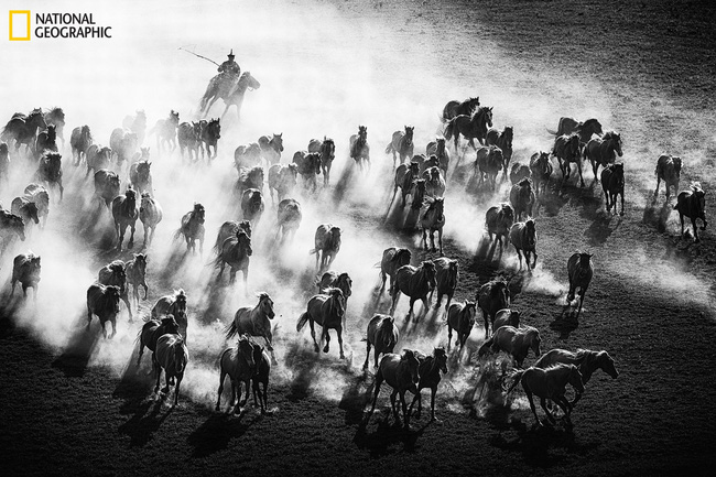 Những bức ảnh đẹp ngỡ ngàng về thế giới tự nhiên trong cuộc thi của Tạp chí National Geographic - Ảnh 5.