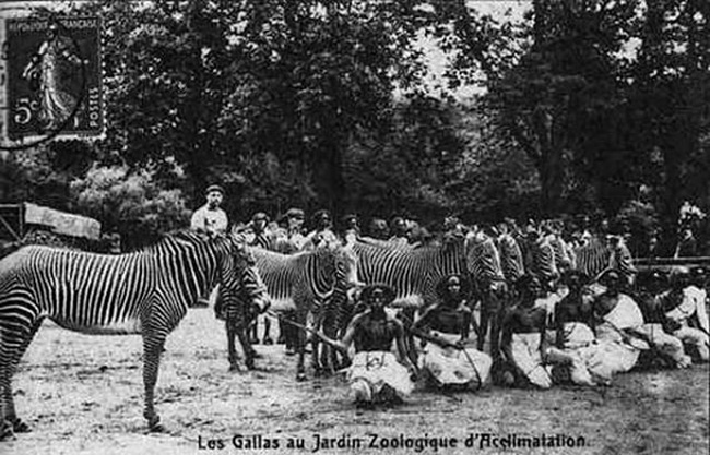 Bức ảnh bé gái châu Phi đứng trong chuồng: Câu chuyện đau lòng về những vườn thú người tại châu Âu - Ảnh 5.