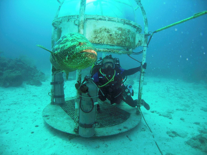 Tham quan phòng nghiên cứu dưới đáy biển như trong phim khoa học viễn tưởng - Ảnh 5.