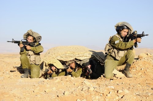 [ẢNH] Bóng hồng sa mạc trong Quân đội Israel - Ảnh 4.