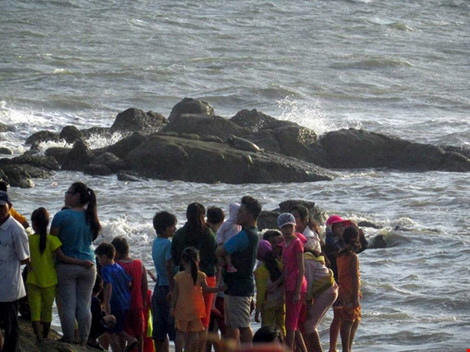 Hải cẩu xám bất ngờ xuất hiện ở biển Bình Thuận - Ảnh 4.