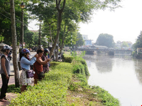 Cá nổi dày đặc trên sông An Cựu - Ảnh 4.