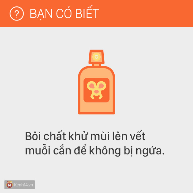 Hãy nhớ kỹ 11 mẹo hay này trong cuộc sống, bạn sẽ chẳng bao giờ cảm thấy phiền hà khó chịu với cơ thể nữa! - Ảnh 5.