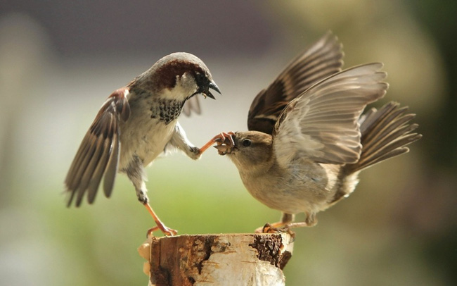 15 bức ảnh sẽ chứng tỏ câu nói điều quan trọng không phải là muộn hay sớm mà là đúng lúc - Ảnh 6.