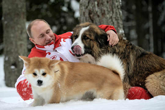 Ông Putin dắt chó cưng đi phỏng vấn làm phóng viên hết hồn - Ảnh 5.
