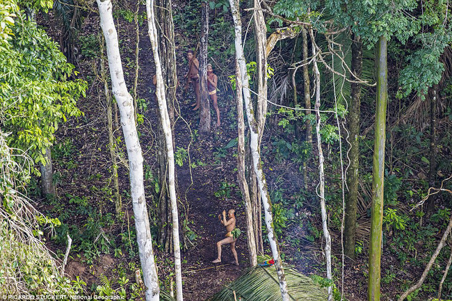 Những hình ảnh về bộ lạc sống trong rừng rậm Amazon như tổ tiên của mình cách đây 20.000 năm - Ảnh 6.