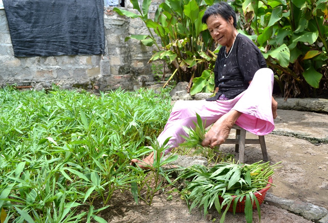 Đôi chân kỳ lạ của người đàn bà không biết ai đặt tên cho mình - Ảnh 5.