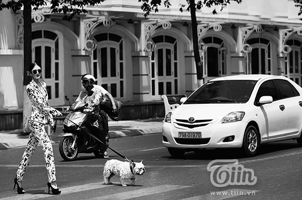 Bông hồng Việt - Pháp xinh đẹp, năng động, đa tài - Ảnh 6.