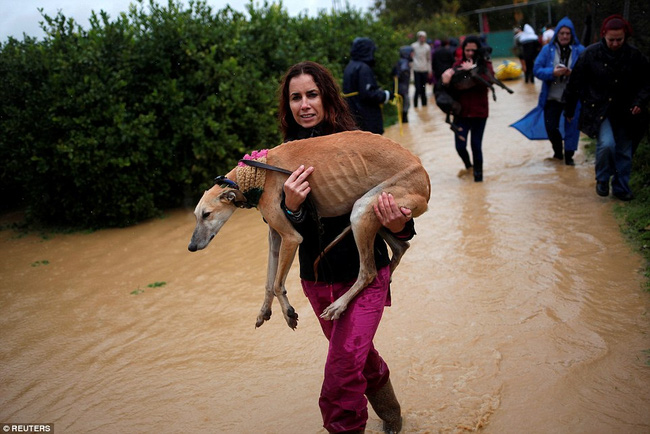 Chùm ảnh: Trận lụt khủng khiếp nhất suốt 27 năm qua ở Tây Ban Nha - Ảnh 7.