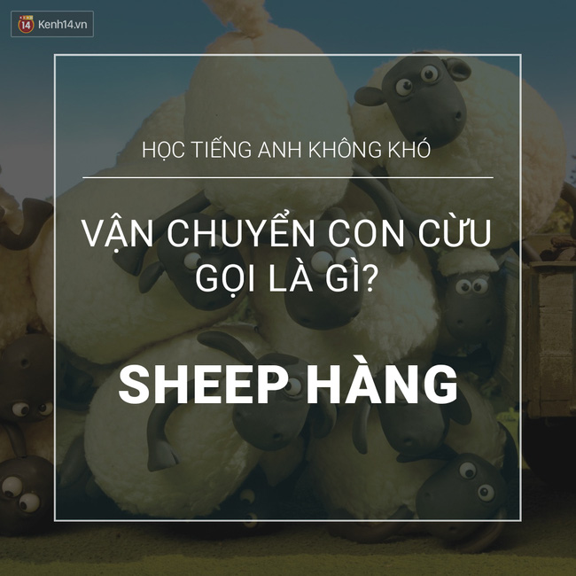 Chùm ảnh vui: Học tiếng Anh chưa bao giờ dễ đến thế này! - Ảnh 7.