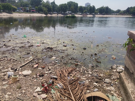 Hà Nội: Hồ Ba Mẫu lại ngập ngụa rác rến và xác cá chết - Ảnh 6.