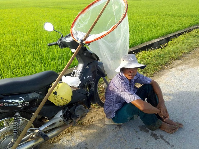 Săn tôm bay mỗi ngày thu bạc triệu - Ảnh 5.