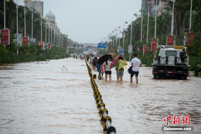 Bão Sarika đổ bộ Trung Quốc, đường ngập thành sông, cây cối đổ rạp - Ảnh 8.