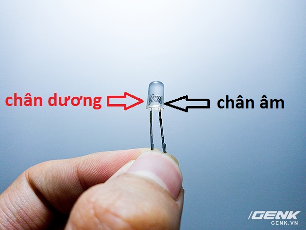 Tự tay chế tạo chiếc đèn ngủ chẳng giống ai làm bằng vỏ trứng gà - Ảnh 8.