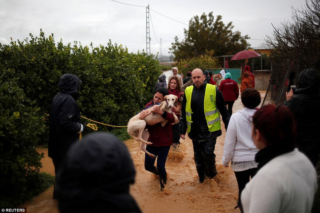 Chùm ảnh: Trận lụt khủng khiếp nhất suốt 27 năm qua ở Tây Ban Nha - Ảnh 8.