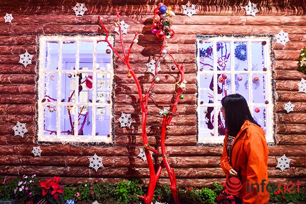 Có một Hà Nội đẹp lạ kỳ trong mùa Giáng sinh - Ảnh 8.