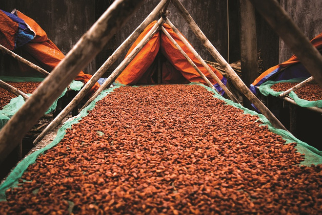 Chocolate Việt nổi tiếng thế giới được người Pháp sản xuất như thế nào? - Ảnh 8.