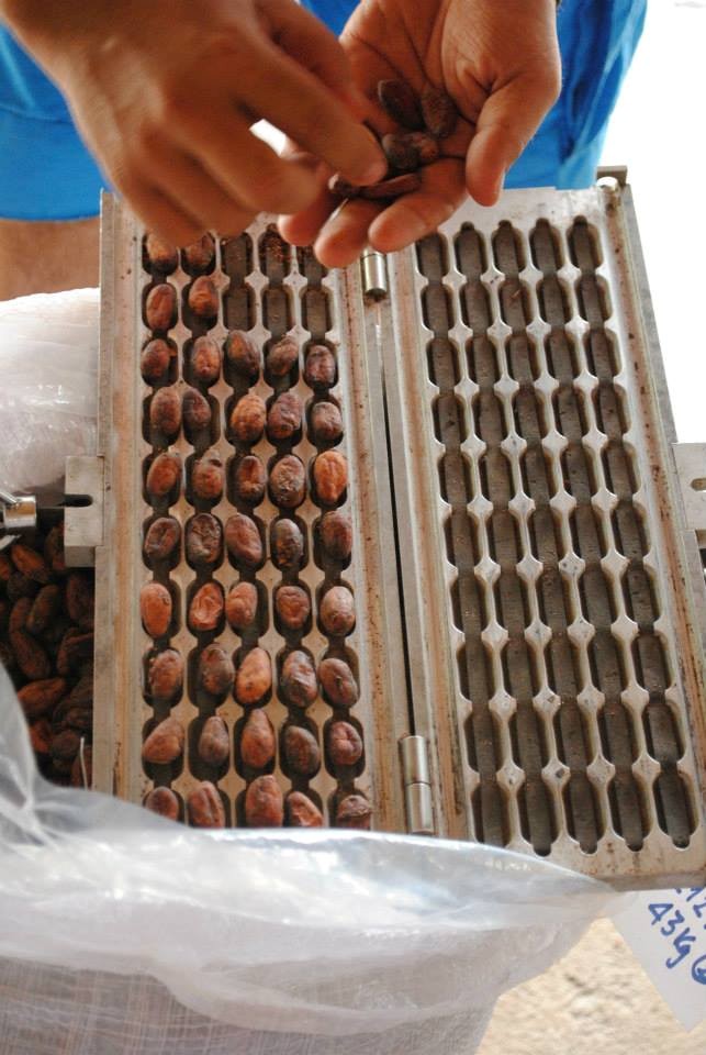 Chocolate Việt nổi tiếng thế giới được người Pháp sản xuất như thế nào? - Ảnh 9.