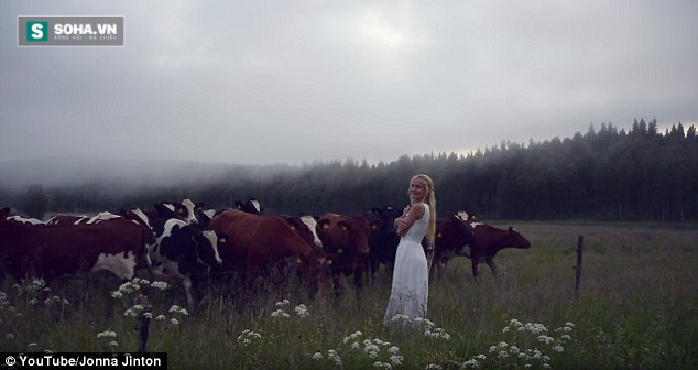 Cô gái trẻ cất tiếng hát, cả đàn bò đổ dồn lại lắng nghe - Ảnh 2.